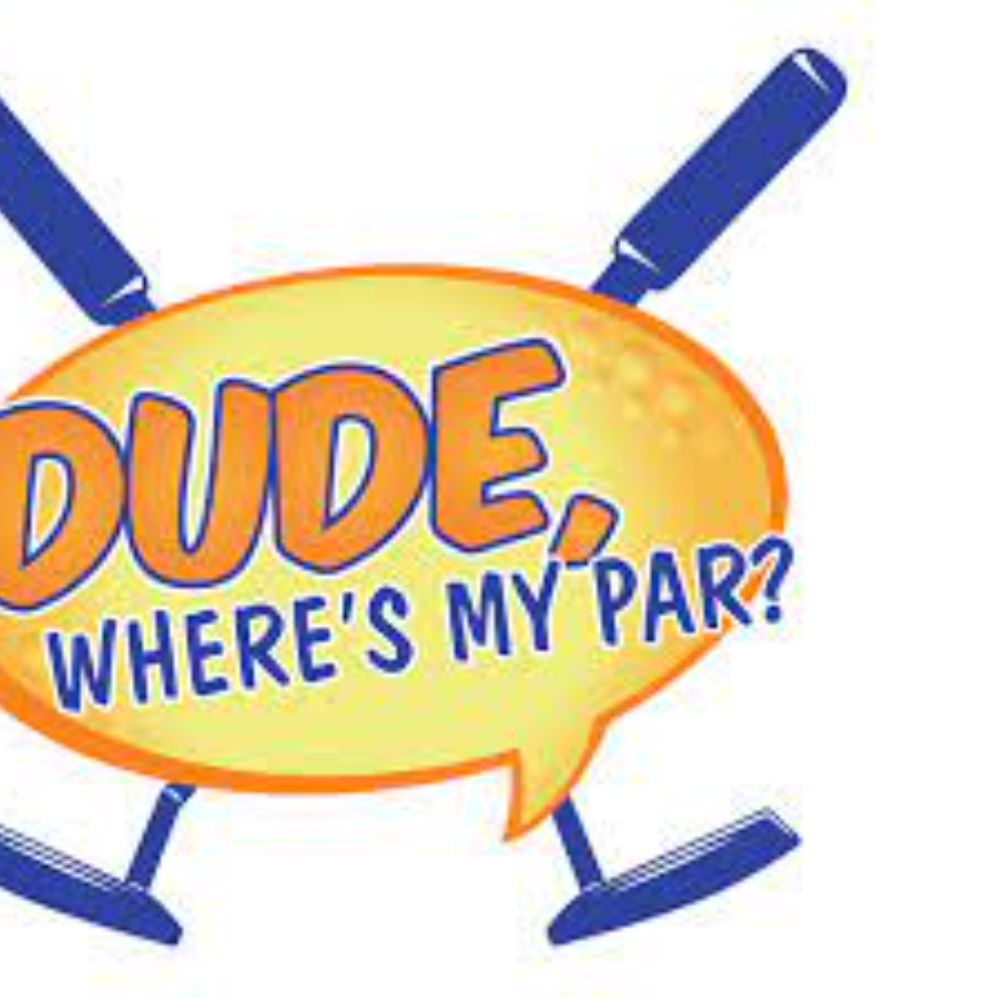 Dude Where's My Par?